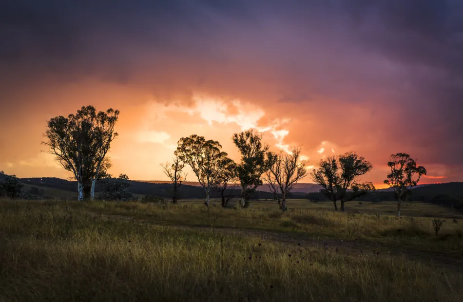 Marulan