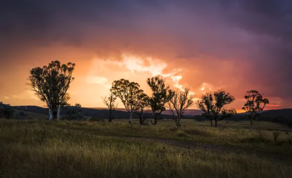 Marulan
